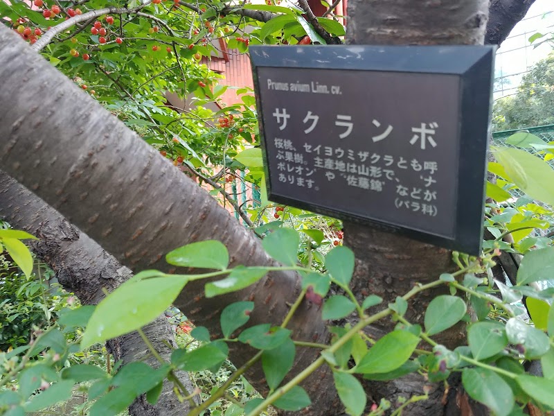Kaedegawa Danjobashi Park Smoking Area