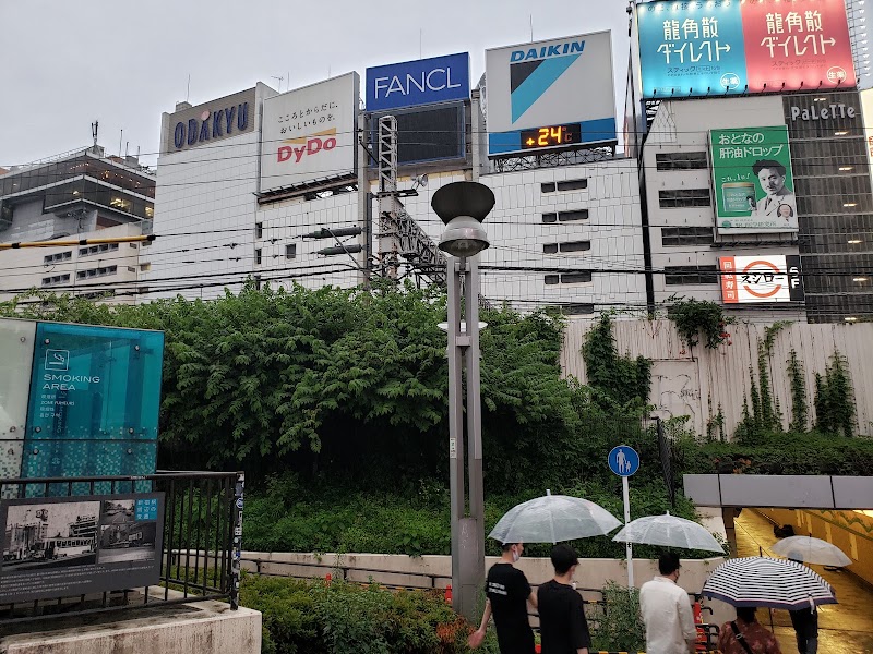 Shinjuku Station Southeast Exit Elevated Highway Smoking Area