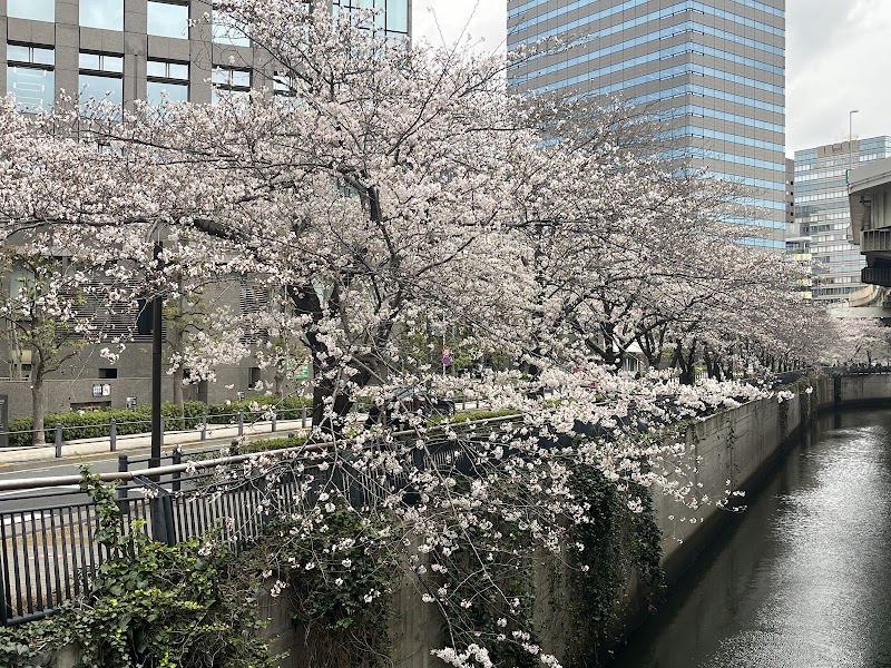 Tully's Coffee Iidabashi Garden Air Tower store