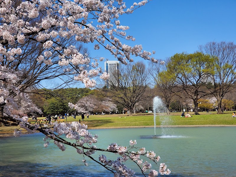 Yoyogi Park Smoking Area